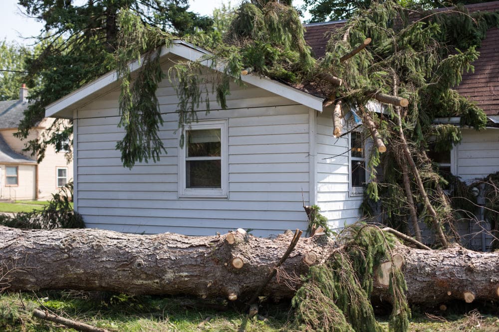 Storm Damage Restoration in Metairie