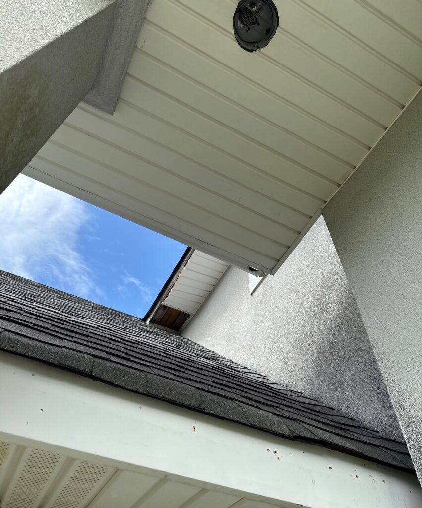 An upward-looking photo shows a recessed light fixture housing on a building's soffit that contains a small wasp nest. The view also reveals the adjacent asphalt shingle roof and the underside of the overhanging eaves.