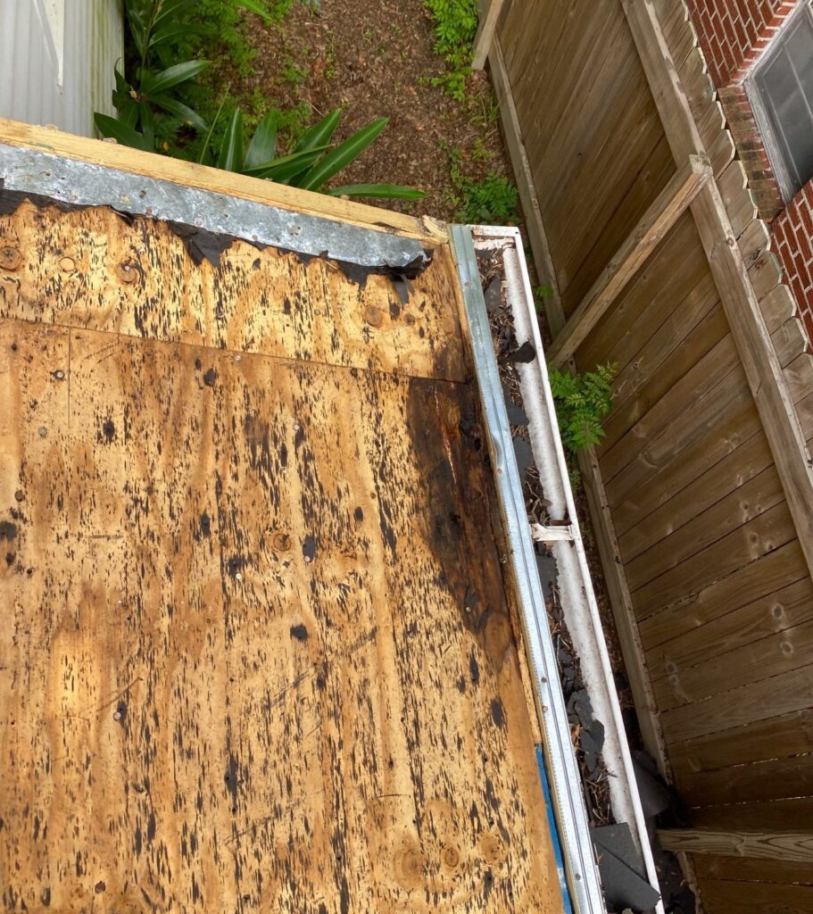 A top-down view shows significant water damage and mold growth on exposed plywood roof decking adjacent to a gutter filled with debris. The metal flashing along the roof edge appears loose and weathered.